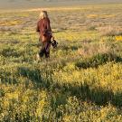 Dr. Hull birding in a meadow